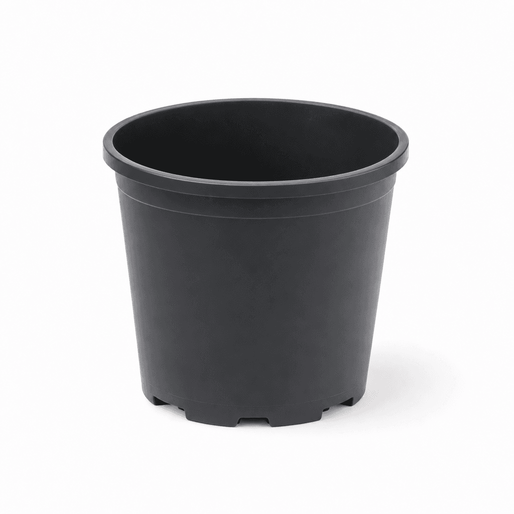 Rund Schwarz